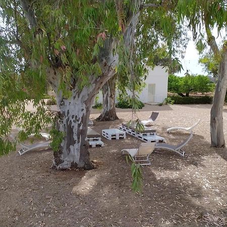 Terreamare Agriturismo بورتو سيساريو المظهر الخارجي الصورة