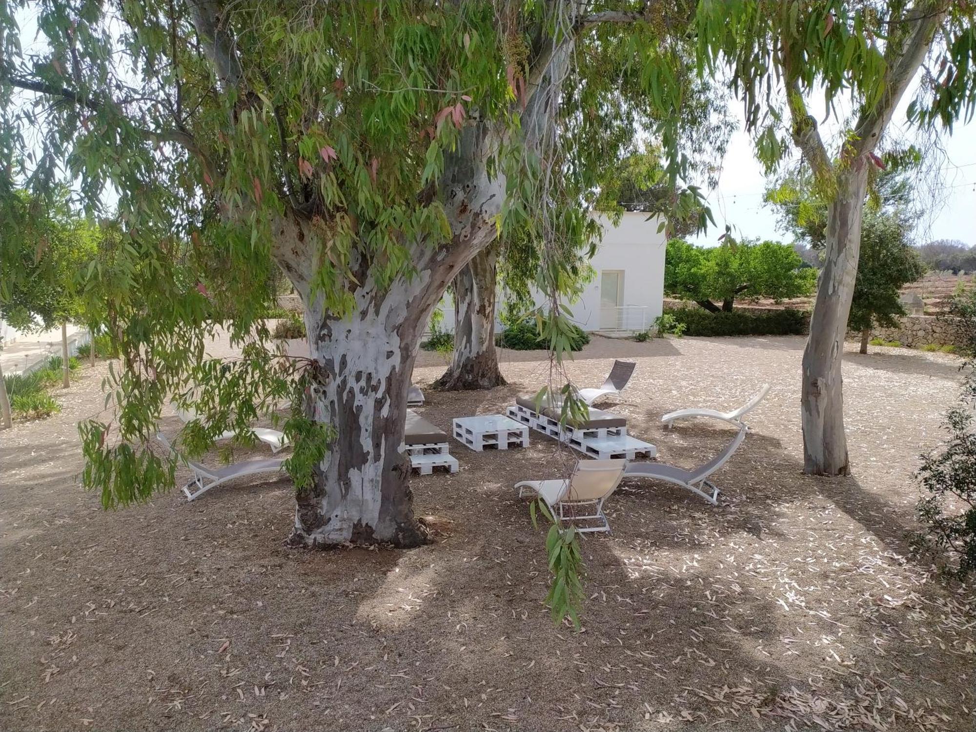 Terreamare Agriturismo بورتو سيساريو المظهر الخارجي الصورة