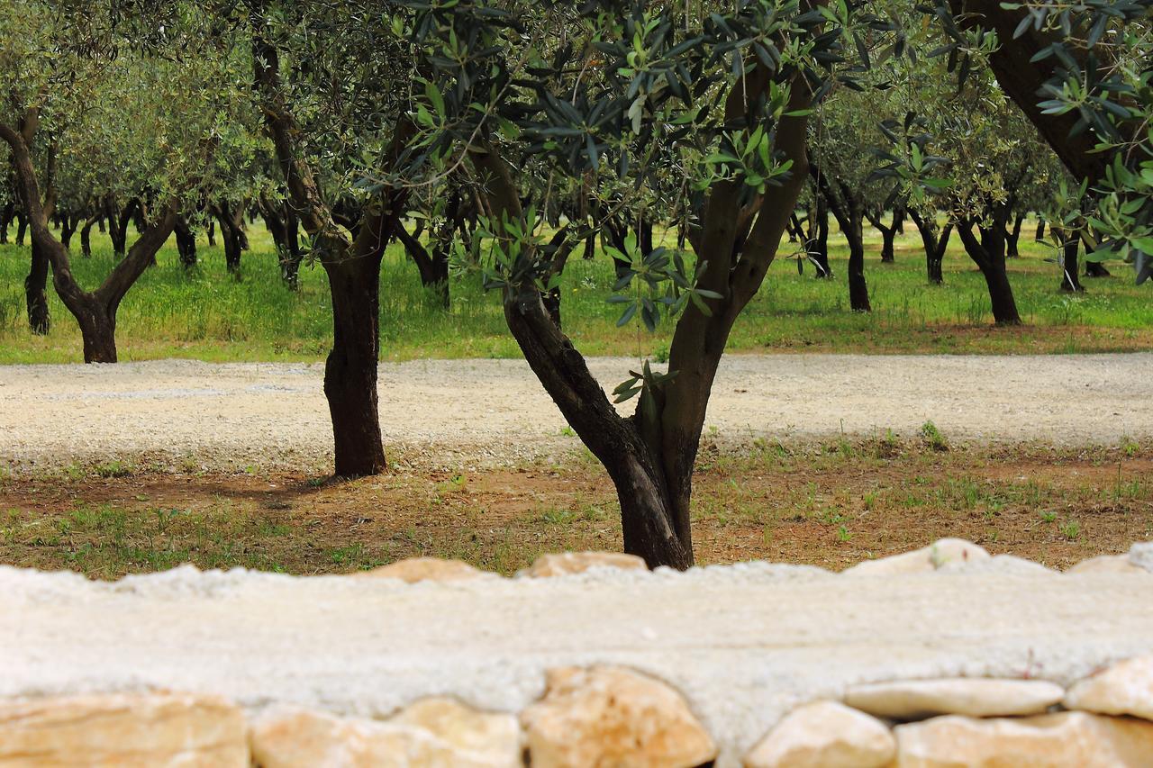 Terreamare Agriturismo بورتو سيساريو المظهر الخارجي الصورة